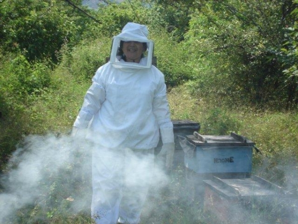 Agueda working with her bees as part of the NAOMI co-operative.